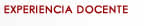 experiencia docente