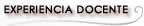 experiencia docente